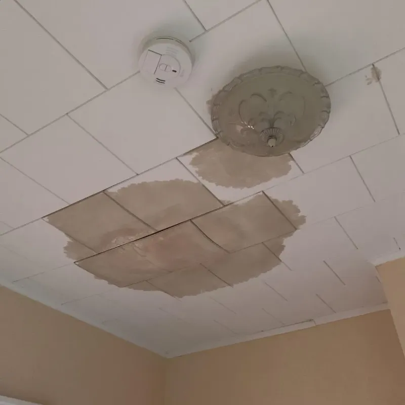 Ceiling Water Damage Repair in Coal Fork, WV