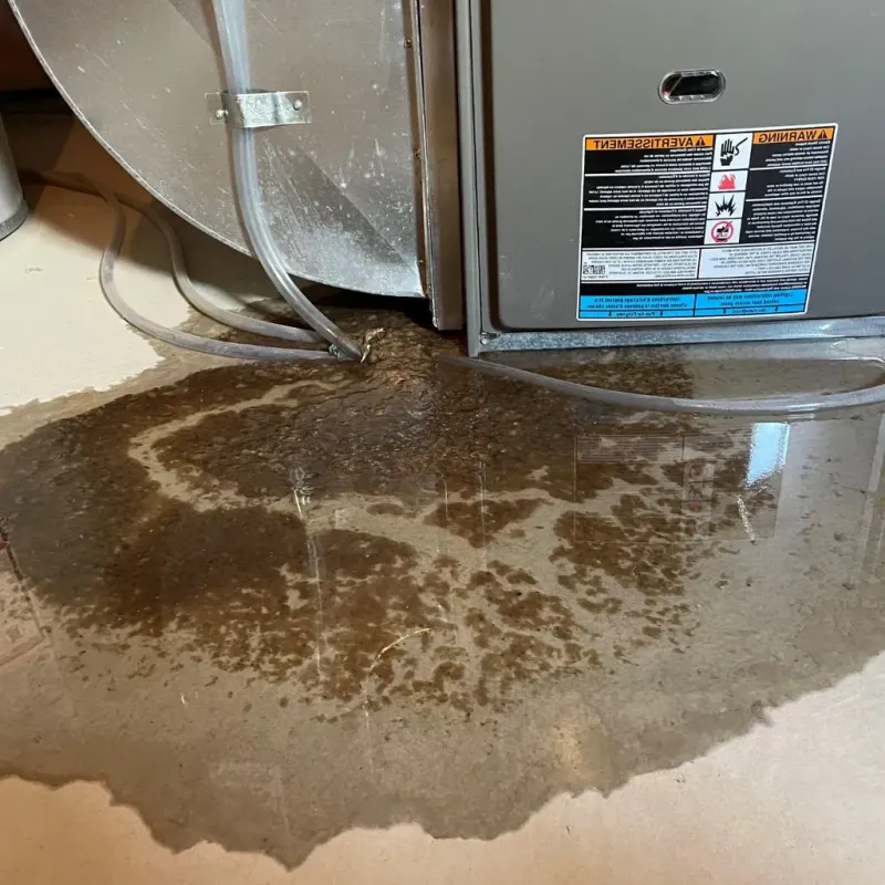 Pipe Burst and Leak Restoration in Coal Fork, WV