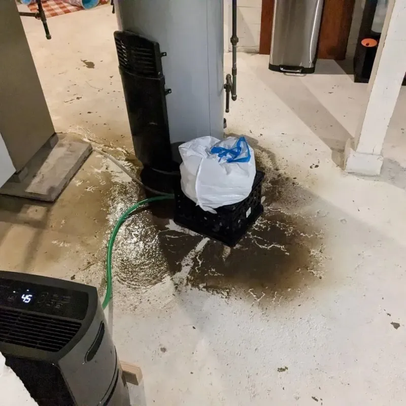 Sewage Backup Cleanup Service in Coal Fork, WV
